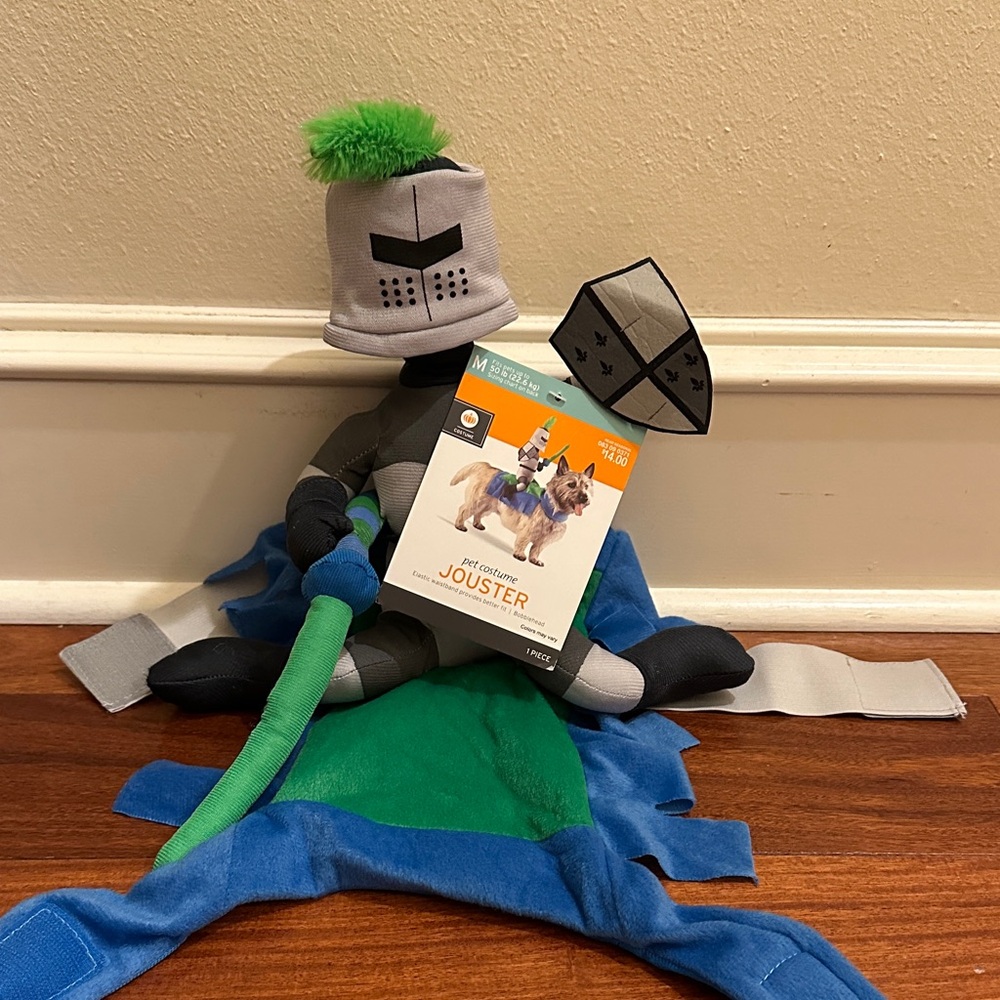 Knight Dog Costume with Green and Blue Accents